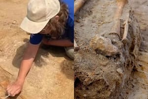 El “niño vampiro” y otros descubrimientos que dejaron en shock a arqueólogos en una necrópolis de Polonia