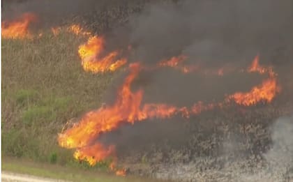 Se espera la llegada de las lluvias este martes para calmar el incendio en Miami-Dade y Broward