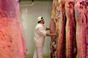 Se espera más oferta de carne