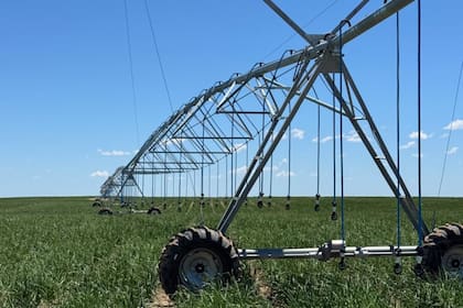 Se espera poder triplicar la superficie del área sembrada bajo el sistema de riego