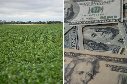 Se espera que en abril y mayo se aceleren las liquidaciones del sector agroexportador y sumen oferta al mercado de cambios