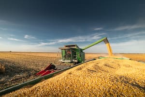 El avance de la cosecha récord de maíz en Brasil presiona sobre los precios y un sistema de acopio colapsado