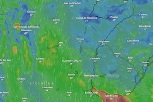 Tormenta de ráfagas y lluvia dejó importantes daños en Rosario y rige un alerta por viento para la tarde - Image 2