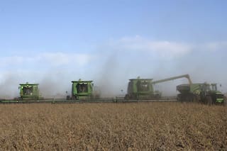 Con un ojo en las ventas de Brasil y otro en la próxima siembra de soja en Estados Unidos