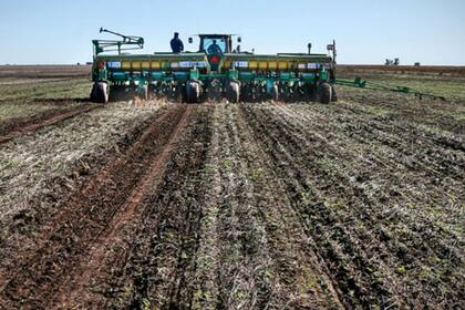 Hay alerta por las trabas a los insumos