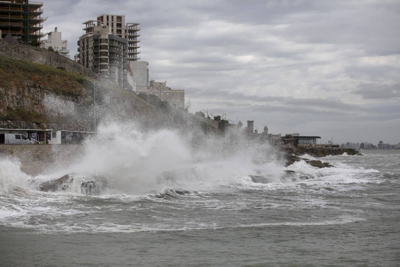 Ciclón en Uruguay: Expertos advierten de rachas de viento de hasta 90 km/h y descenso abrupto — image 6