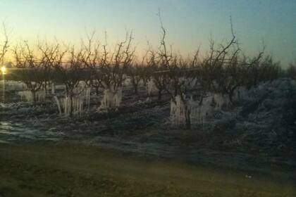 Se están disponiendo de medidas de apoyo ante la emergencia