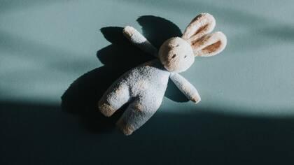 Se estima que aproximadamente un millón de familias buscan adoptar actualmente en EEUU.: la mayoría de ellas prefieren adoptar bebés