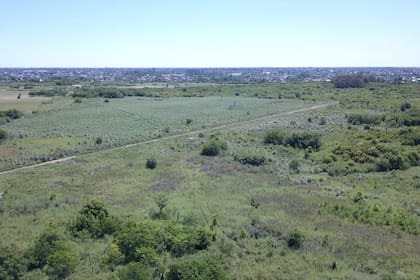 Se estima que el espacio hay más de 200 especies de animales