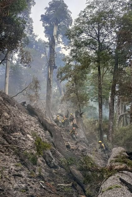 Se estima que el incendio comenzó luego de una tormenta