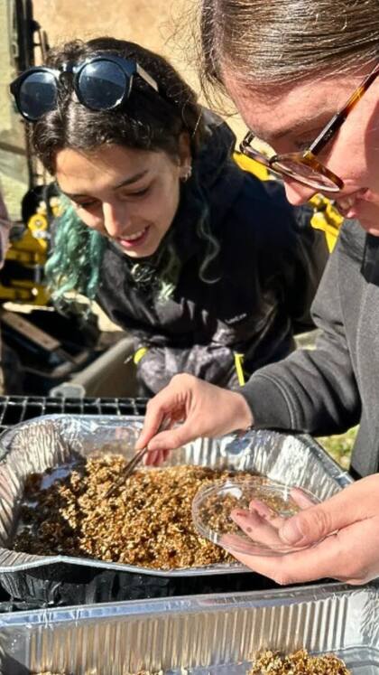 Se estima que el pescado fermentado perduró allí por 2300 años