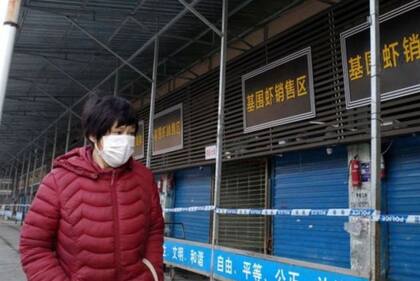 Se estima que el primer brote del nuevo coronavirus está relacionado con los mercados húmedos de Wuhan, donde se venden animales salvajes vivos y muertos.