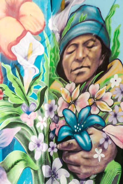 Se estima que el proyecto costó de 4.5 millones de bolivianos (650 mil dólares estadounidenses).