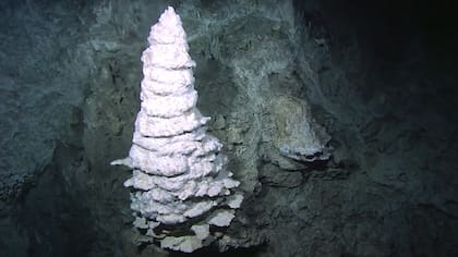 Se estima que en el suelo de la Ciudad Perdida hay oro, manganeso y cobalto
