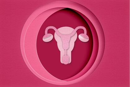 La razón por la que a la selección natural "no le importa tanto" la salud de las mujeres