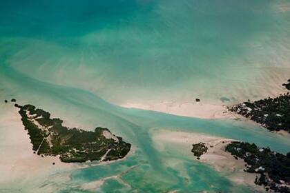  Kiribati alberga la reserva marina más importante del Pacífico Sur