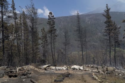 Se estima que más de 12.000 hectáreas fueron arrasadas por el fuego