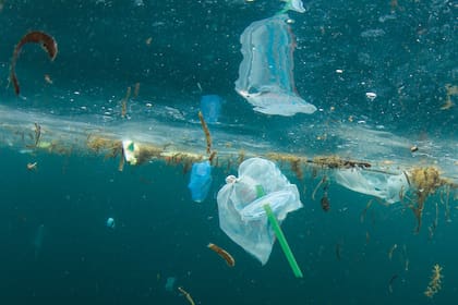 Se estima que para 2050 vamos a tener más plásticos que peces en el mar