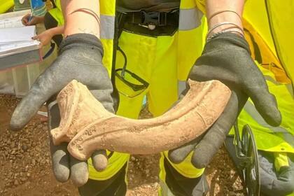 Se estudiarán con mayor detalle fragmentos de varias copas y recipientes romanos de gran tamaño