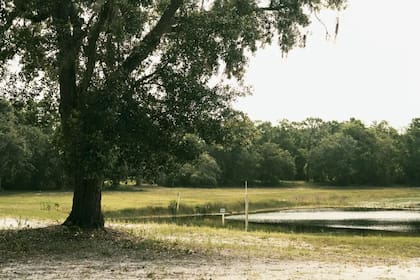 Se exigía una devoción por la vida desnuda: cualquiera que comprara un lote debía ser nudista