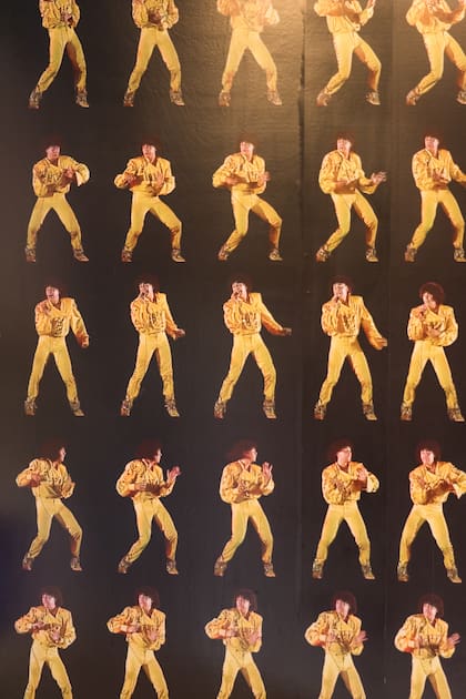 Se exponen discos de vinilo, cassettes, trajes, revistas, artículos periodísticos y muchas fotos del alegre ritmo musical..