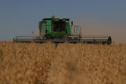 La soja en CBOT subió US$23, 5%, desde fines de abril a esta semana