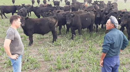 Se hace un manejo eficiente de todas las variables