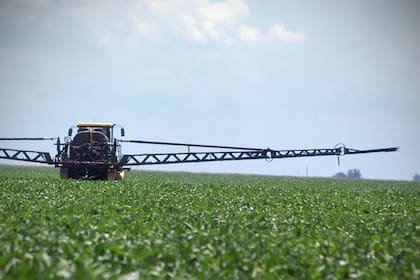 La iniciativa por este cambio habría venido de las entidades de productores agropecuarios, quienes le habrían acercado a Juan Pazo, secretario de Planeamiento y Gestión para el Desarrollo Productivo y de la Bioeconomía, un estudio con los números y los valores que se pagan por los fitosanitarios en países vecinos como Uruguay