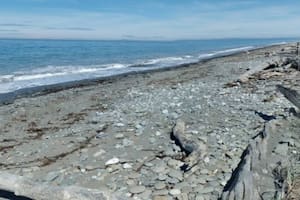 El macabro hallazgo de pies desmembrados en las playas que desveló a los investigadores por 12 años