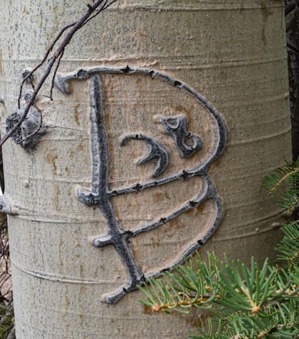 Se han encontrado muchos, pero se sospecha que hay muchos más... y que podrían desaparecer