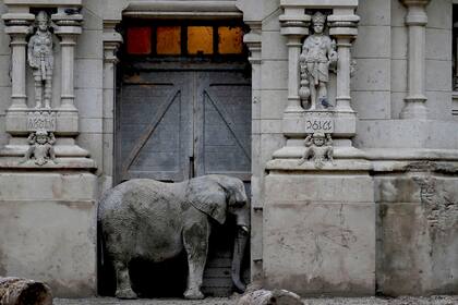 Pupy, un elefante africano, en la entrada de su recinto, una réplica de un templo hindú fue construida para los elefantes asiáticos en el zoo de Buenos Aires. Foto: Natacha Pisarenko