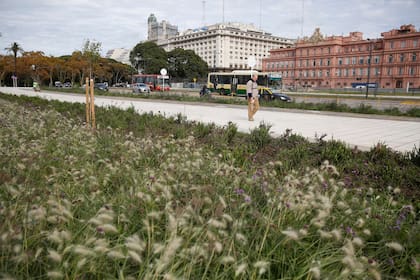 Se trata de la propuesta de revalorización del centro porteño, que unifica y recupera diez hectáreas de parques, plazoletas y plazas
