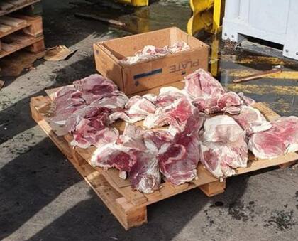 Se incautó alrededor de 31 toneladas de carne vacuna congelada que iba a ser exportada