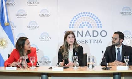 Se incendió el despacho de la senadora chubutense Andrea Marcela Cristina (Pro) y hubo tres personas intoxicadas.