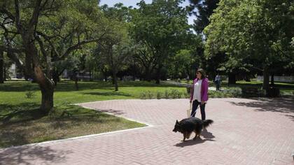 Se incorporaron 1000m2 de arbustos y herbáceas