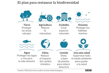Se insta a que los países para que firmen un acuerdo para la biodiversidad