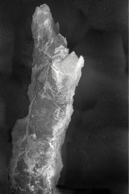 Se la llama Ciudad Perdida por la cantidad de vida marina que hay