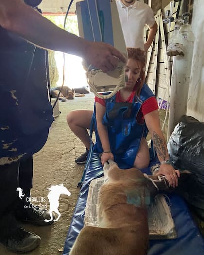 Se le hicieron estudios para evaluar el estado de sus pulmones, inmaduros al momento del nacimiento.