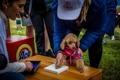 Se llevaron el recuerdo de la huellita de su perrito.
