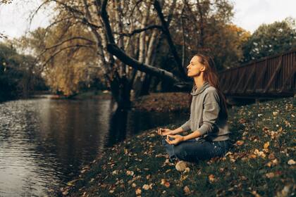 Se logró comprobar con evidencia abrumadora la correlación alta entre distintas prácticas de meditación y variables de bienestar