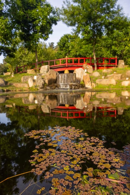 "Se mandaron a construir pintorescos puentes curvos rojos (en japonés, taiko bashi), y mandé a traer linternas de piedra de Japón"