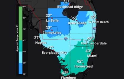 Se mantiene vigente una alerta de heladas para los condados de Marion y Alachua