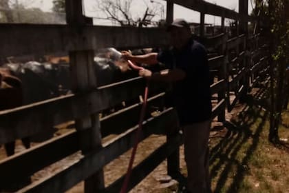 Se moja la hacienda también en los corrales