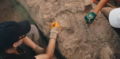 Se necesitan más datos del lugar para confirmar las teorías de los científicos (Foto: Universidad de Poznan)