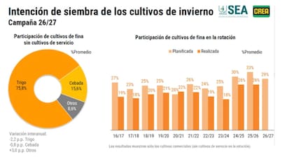 Se observa una caída en la intención de siembra respecto de los últimos dos años, con el trigo concentrando el 75,8% del área proyectada y la cebada el 15,6%