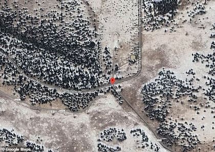 Se ofrecen hasta US$103.500 por datos que conduzca a un “enjuiciamiento exitoso” en el caso (Imagen de Species Unite)