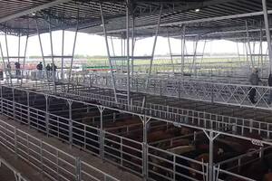 Se operó con una entrada de 1327 vacunos