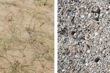 Se plantó directo sobre la arena (izq.); el original camino de conchillas (der.)