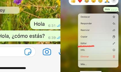 Se podrá editar desde una coma, hasta todo el mensaje si lo deseas (Foto: Archivo Particular)