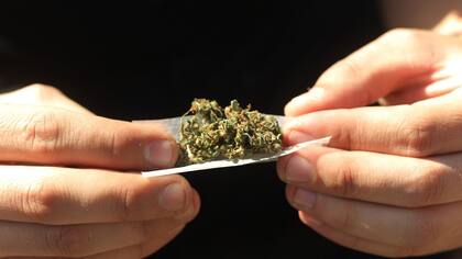 Se postergará para 2017 la venta de marihuana al público en Uruguay